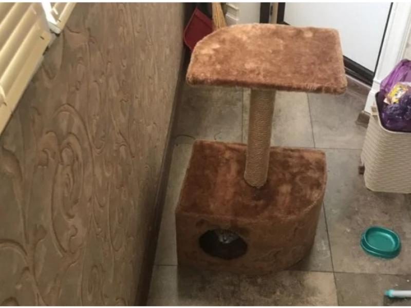 Предлагаю товары