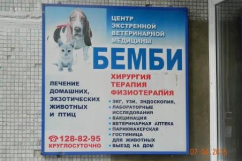 Предлагаю услуги. Ветеринарная клиника Бемби.. Фото3