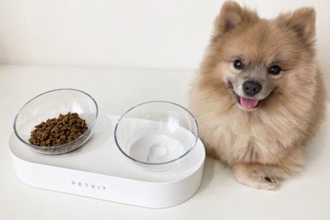 Предлагаю товары. Миска для собак и кошек Xiaomi petkit. Фото1
