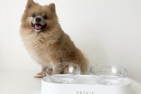Предлагаю товары. Миска для собак и кошек Xiaomi petkit. Фото3