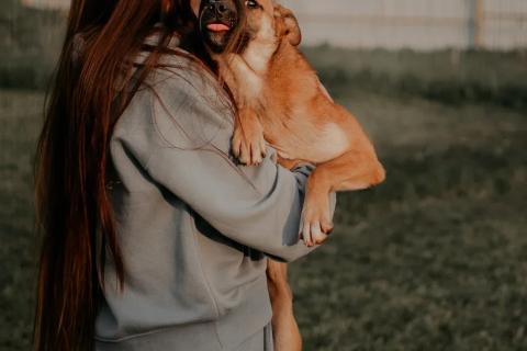 В дар собаку. Изящная девочка Джуди ищет свою семью!. Фото2