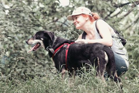 В дар собаку. Собака джентельмен из приюта в добрые руки. Фото4