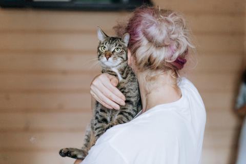 В дар кошку. Веселые непоседы Валли и Хлоя ищут семью. Фото3