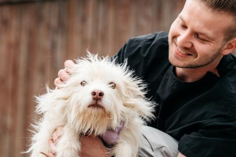 В дар собаку. Метис домовёнка Кузи Бандик ищет дом. Фото2