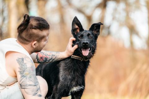 В дар собаку. Заберите меня, пожалуйста. Фото1
