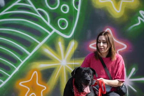 В дар собаку. Дружелюбный Неро ищет дом и семью!. Фото4