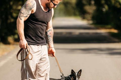 В дар собаку. Очаровательная маленькая собачка Налла в дар. Фото2