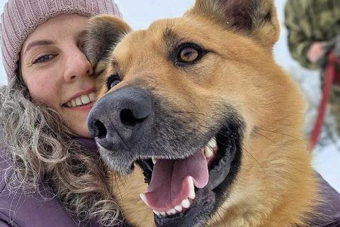 В дар собаку. Красивый, умный молодой домашний пес Майор ищет дом. Фото2