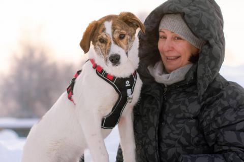 В дар собаку. Ищет дом маленькая белая принцесса. Фото1