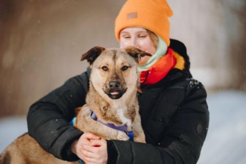 В дар собаку. Сади, собака-подросток, которая не умеет любить вполсилы. Фото1