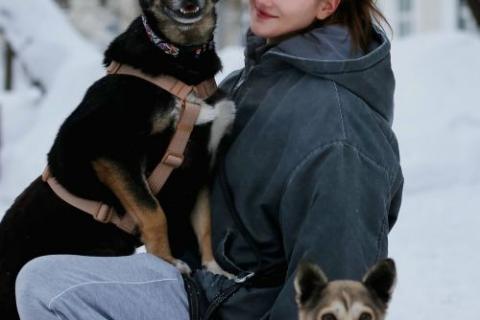 В дар собаку. Вива – не помнящая зла  . Фото3